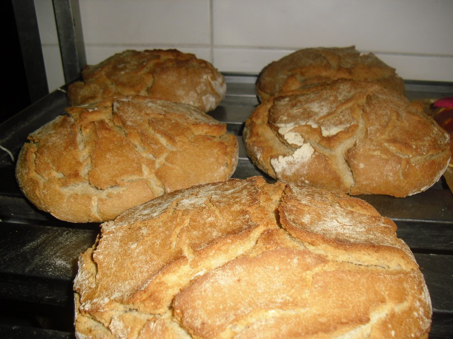 Imagem Pão Tradicional